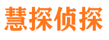 察雅侦探公司